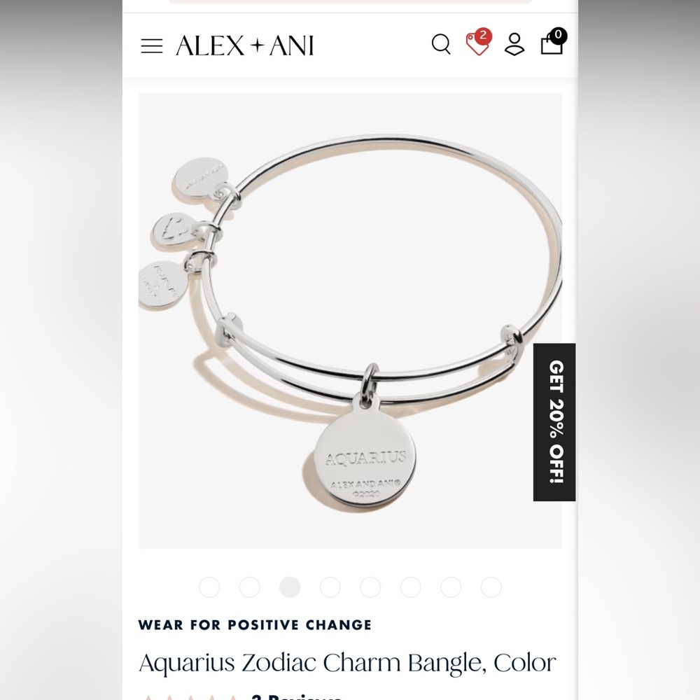 Aquarius Zodiac Charm Bangle